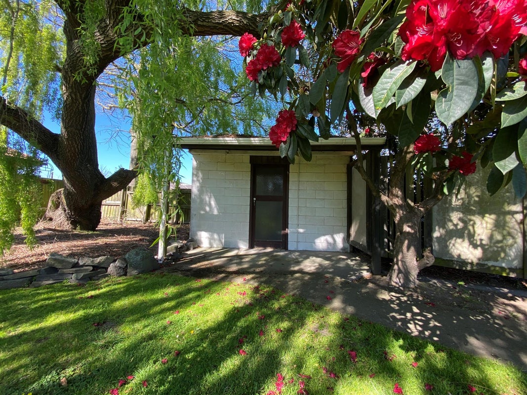 56 Steadman Road, Broomfield, Christchurch - Carousel 22