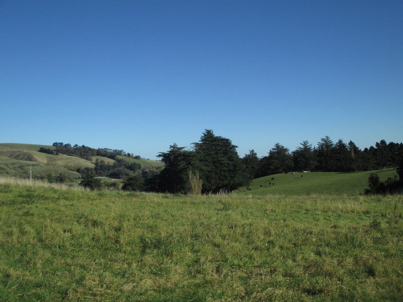 290 Kennedys Bush Road, Kennedys Bush, Christchurch - Carousel 2