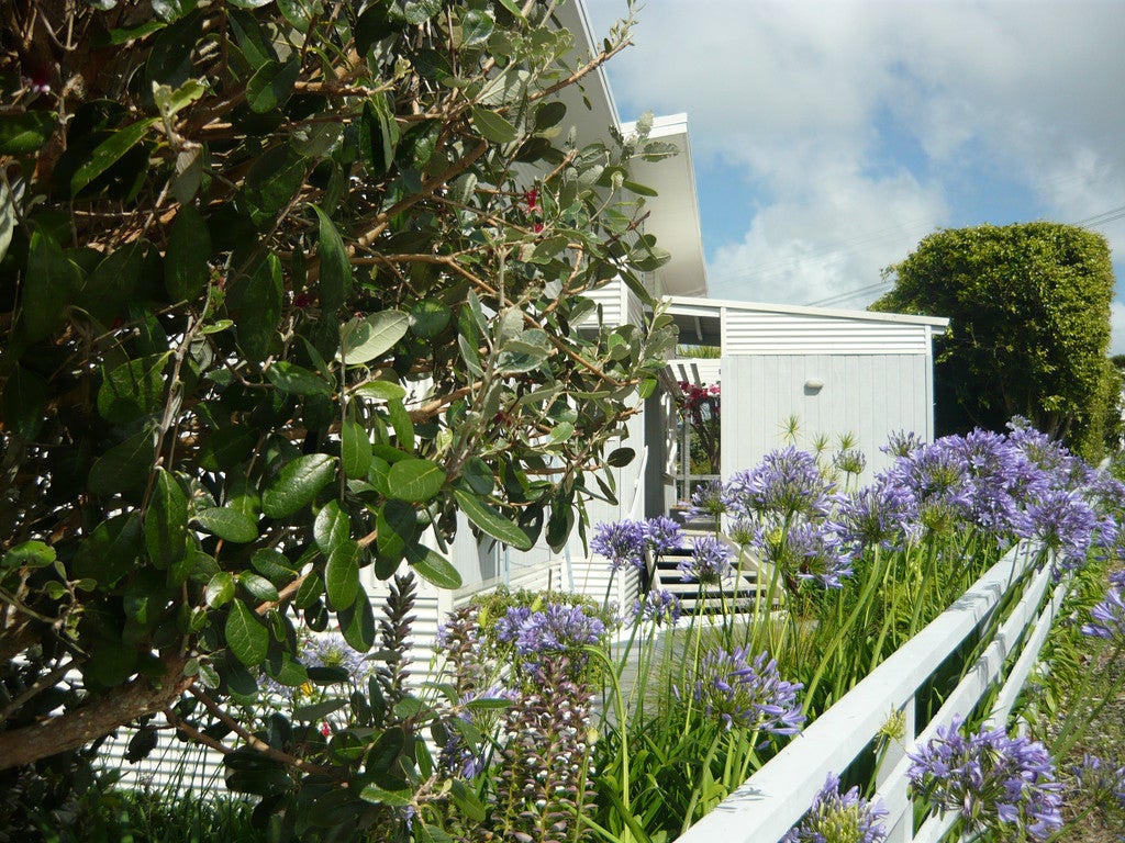 22 Oxford Street, Whakapirau, Maungaturoto - Carousel 26
