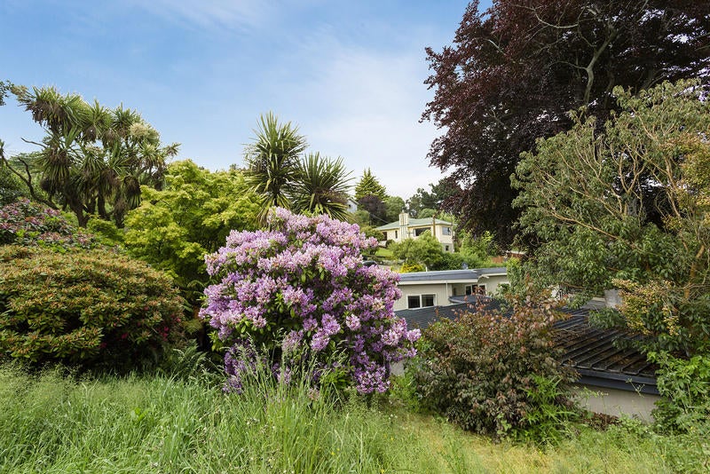 122 Somerville Street, Andersons Bay, Dunedin - Carousel 14