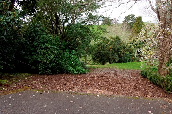 12B Horne Street, Hurdon, New Plymouth - Carousel 2