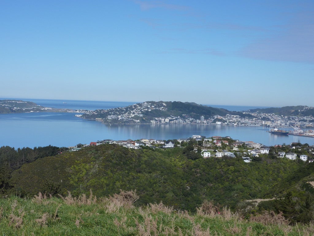 6 Spenmoor Street, Newlands, Wellington - Carousel 1