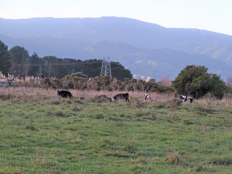 23 Kiharoa Street, Otaki Beach, Otaki - Carousel 9