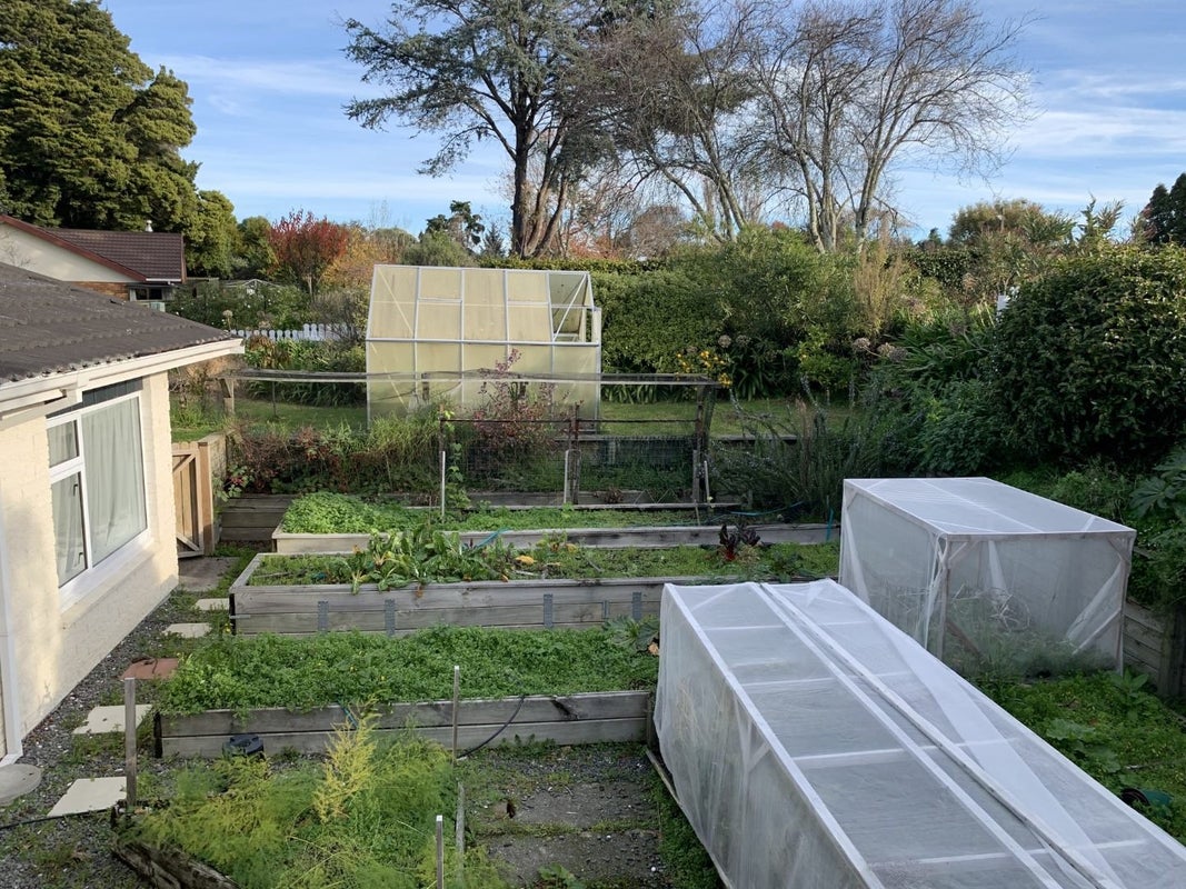 112 Main Road South, Raumati Beach, Paraparaumu - Carousel 19