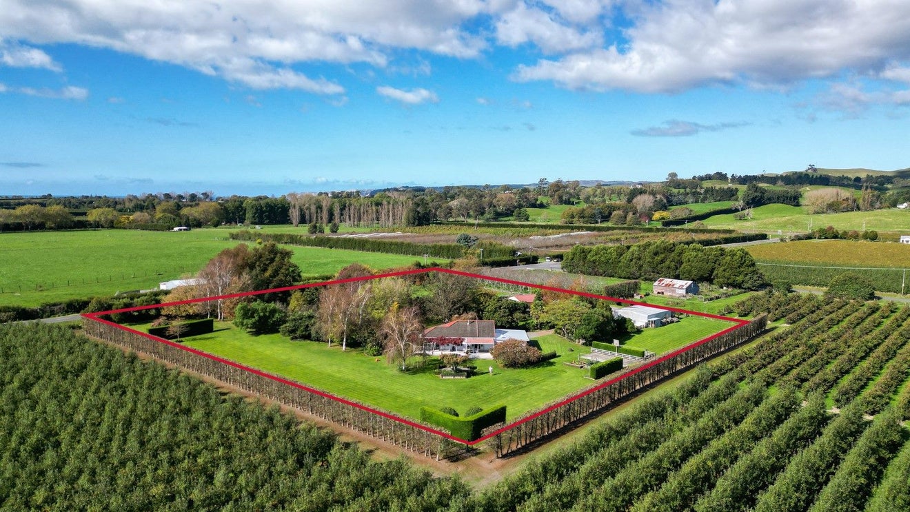246 Tuki Tuki Road, Haumoana, Hastings - Carousel 20