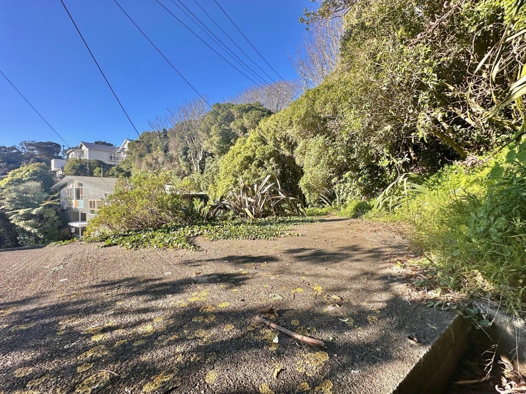 57 Clarence Street, Brooklyn, Wellington - Carousel 16