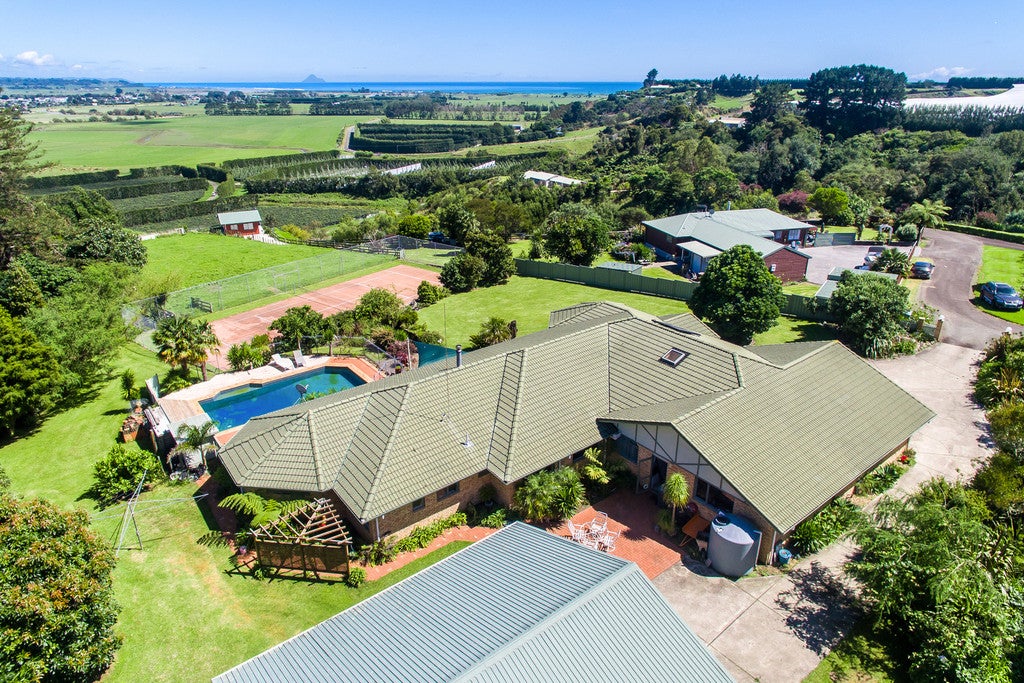 155E Gow Road, Tirohanga, Opotiki - Carousel 2
