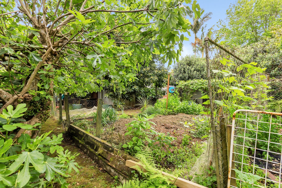 44A Weaver Street, Whau Valley, Whangarei - Carousel 24