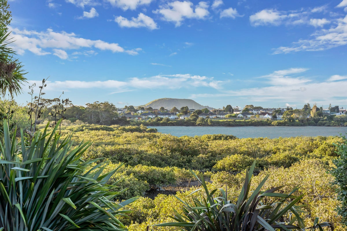 42 Murdoch Street, Otahuhu, Auckland - Carousel 2