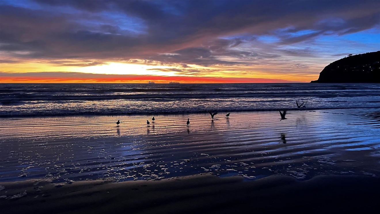 44 Esplanade, Sumner, Christchurch - Carousel 34