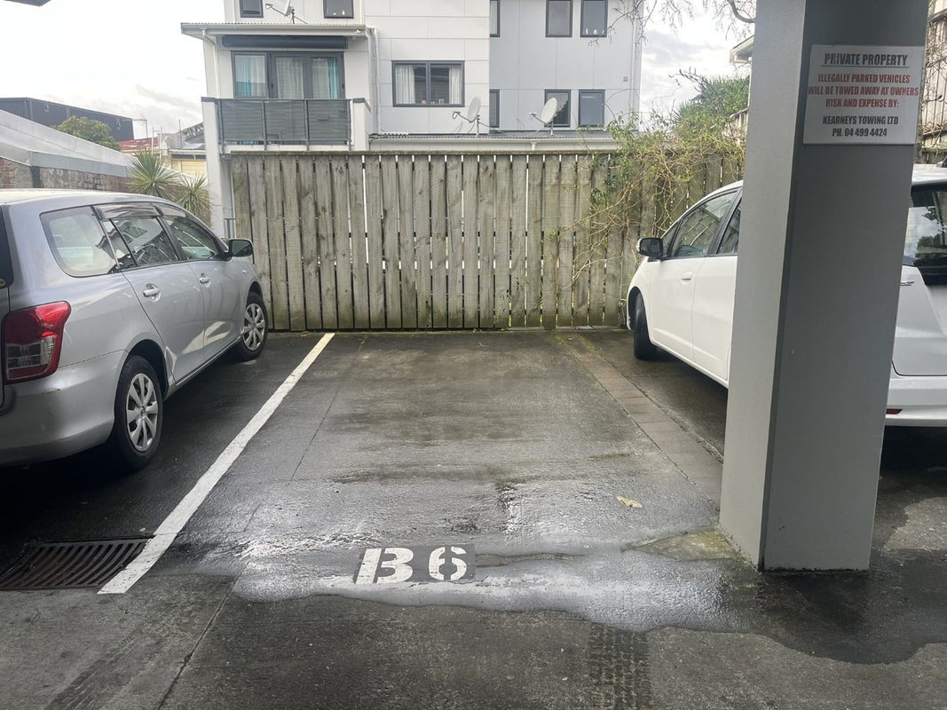 B6/13 Palm Grove, Berhampore, Wellington - Carousel 8