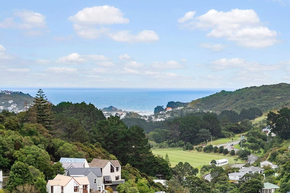 20 Pearce Street, Vogeltown, Wellington - Carousel 5