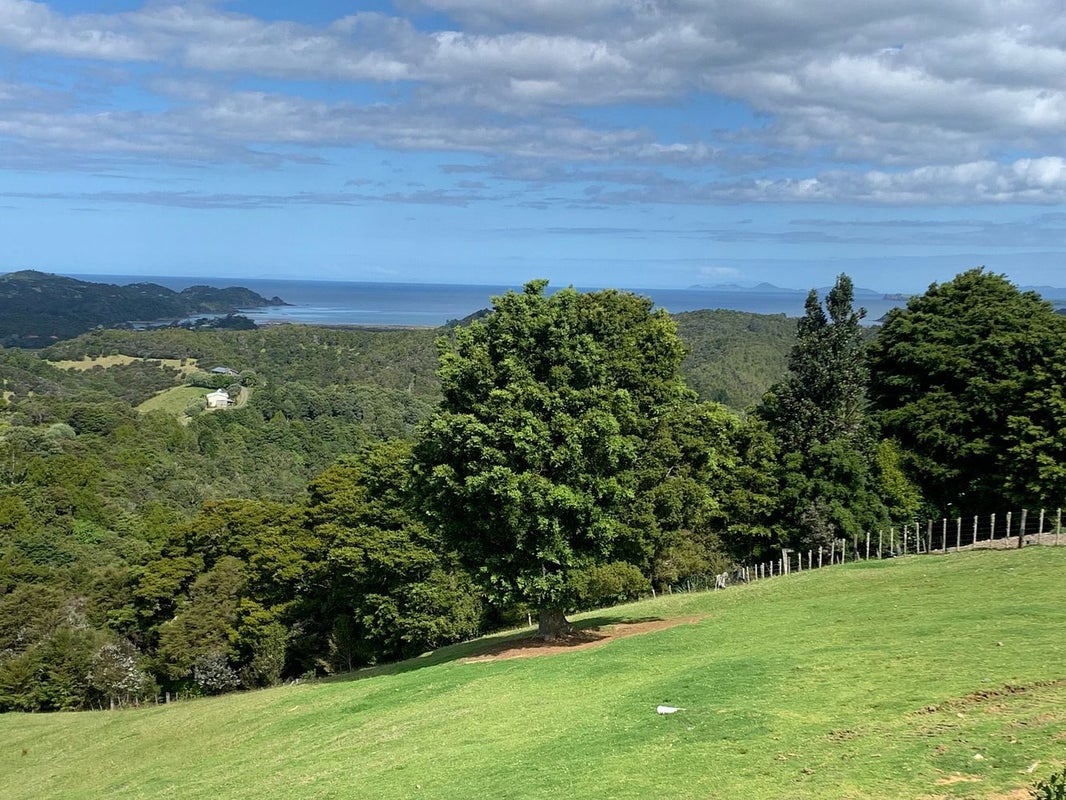 133 Pukenui Road, Ngunguru, Whangarei - Carousel 2