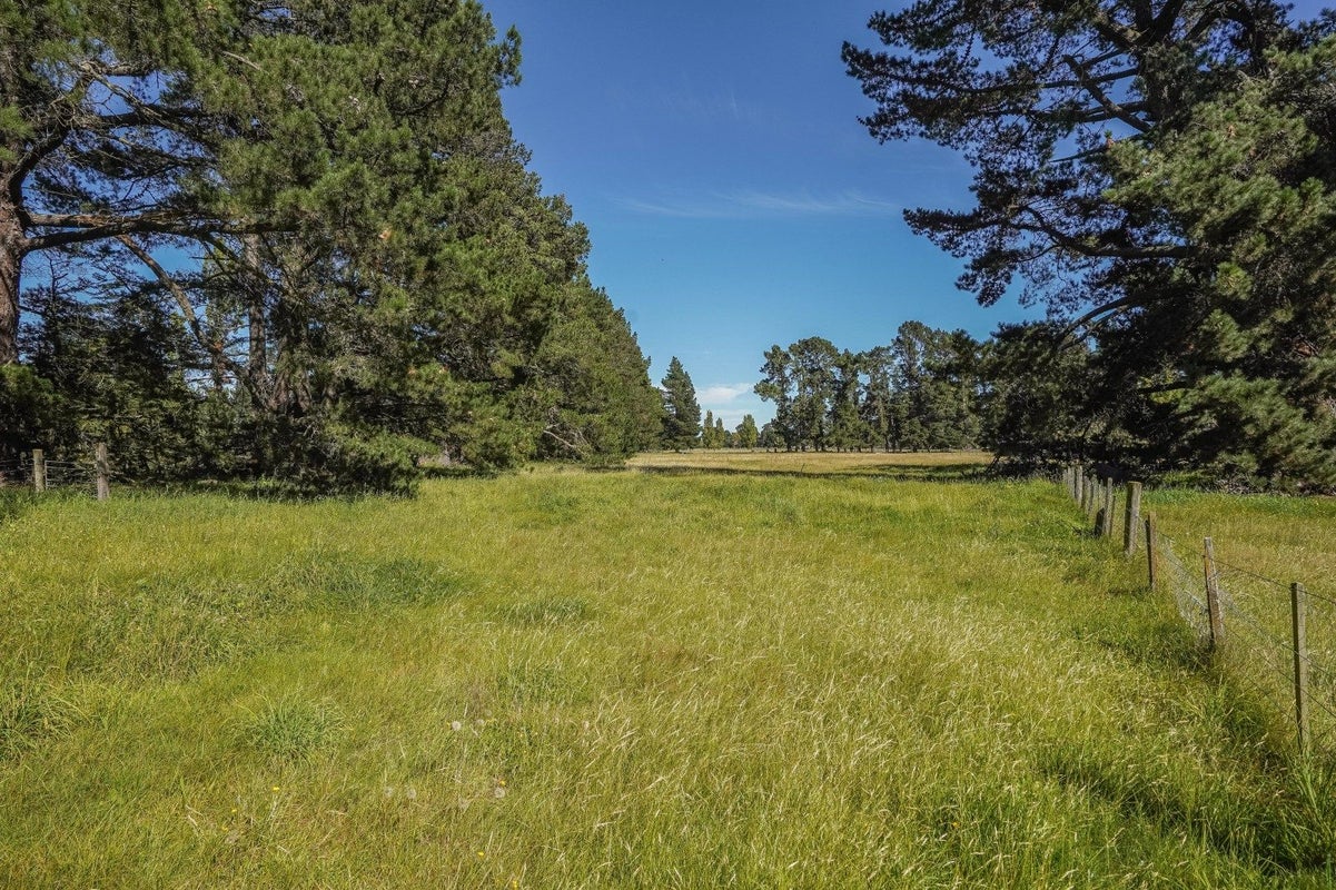 373 Lehmans Road, Fernside, Rangiora - Carousel 29