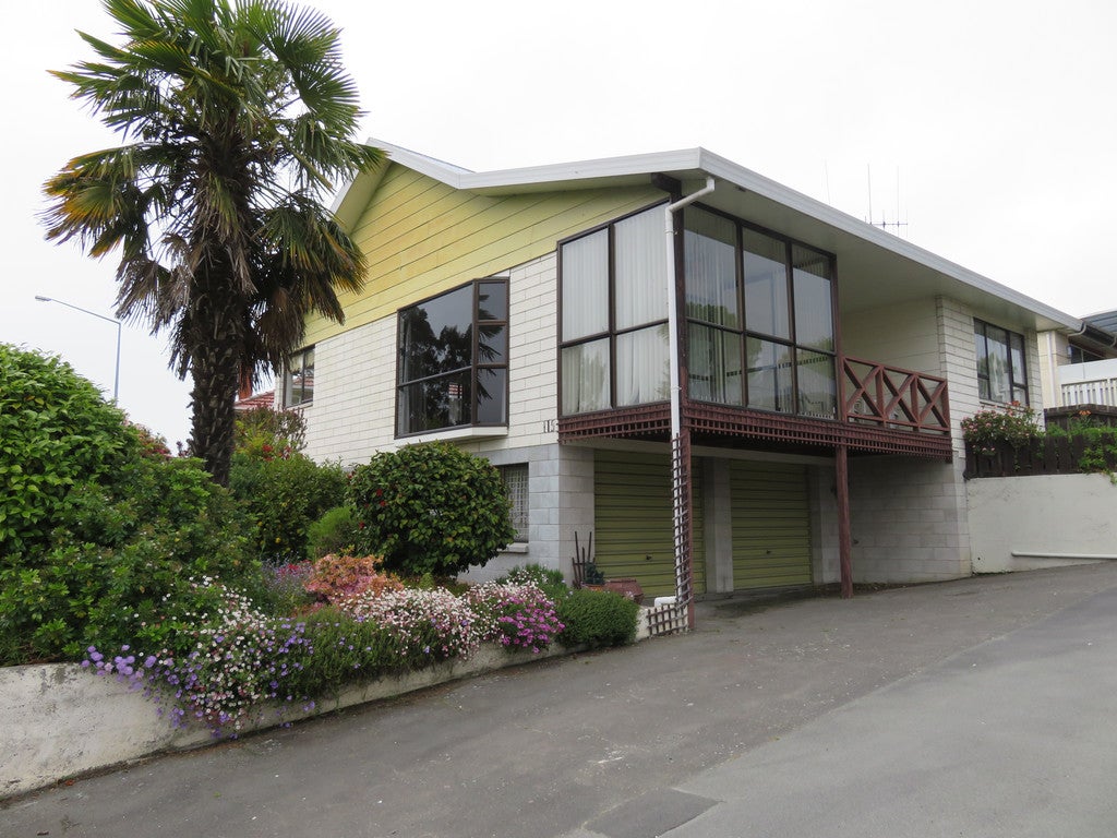115 Domain Avenue, Kensington, Timaru - Carousel 1