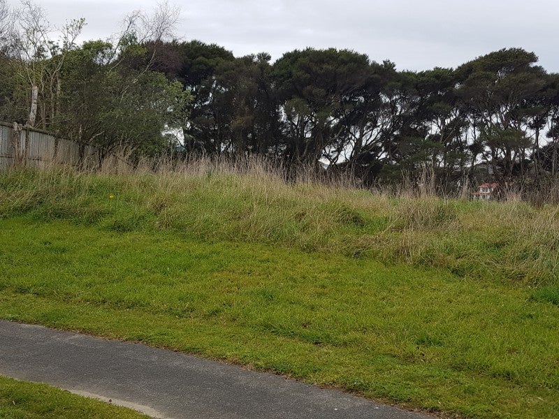 40 Shackle Lane, Whitby, Porirua - Carousel 3