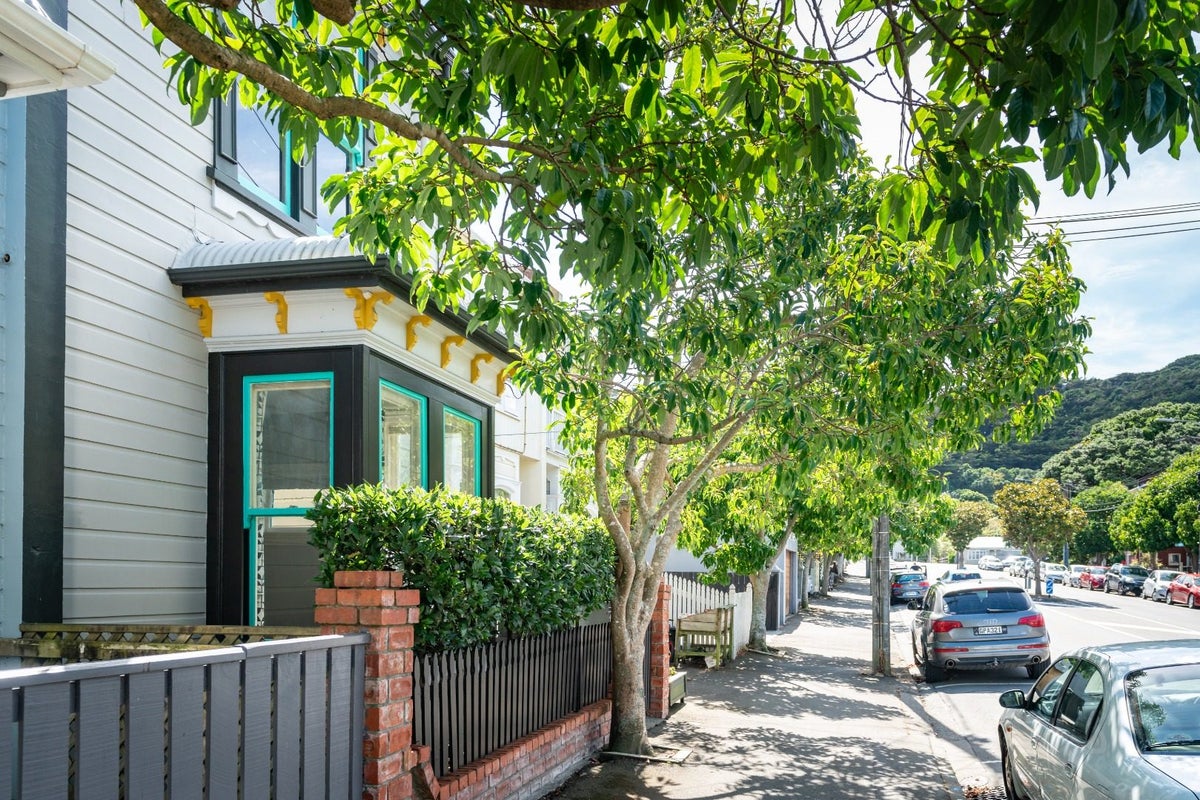 19 Roy Street, Newtown, Wellington - Carousel 2