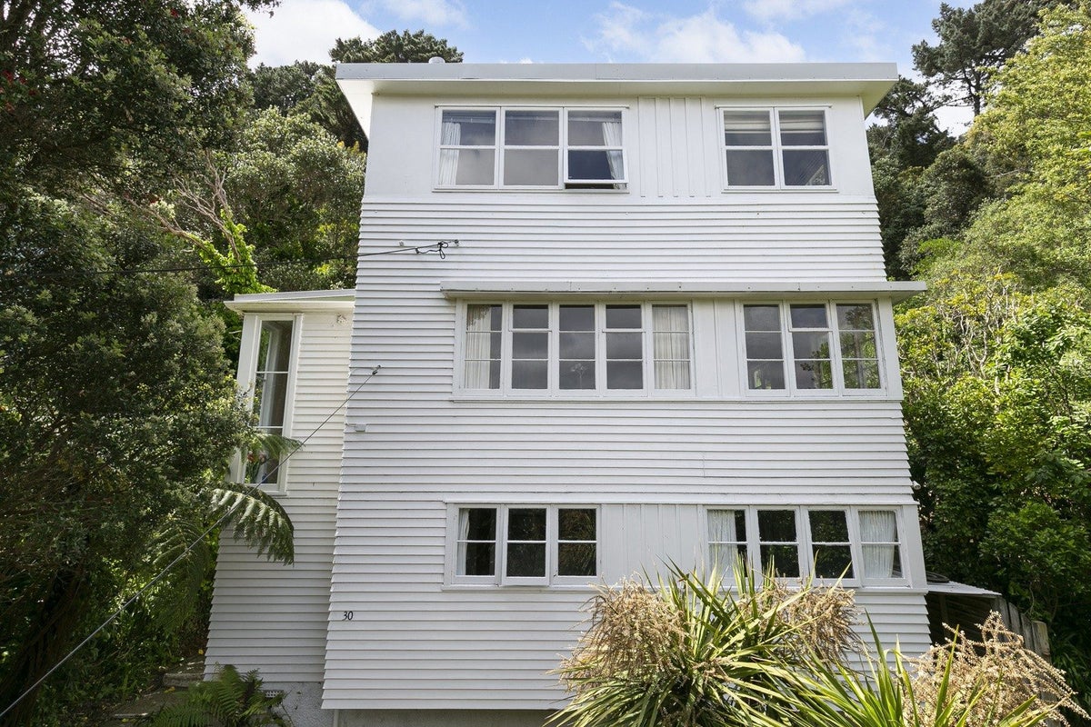 30 Tannadyce Street, Strathmore Park, Wellington - Carousel 2