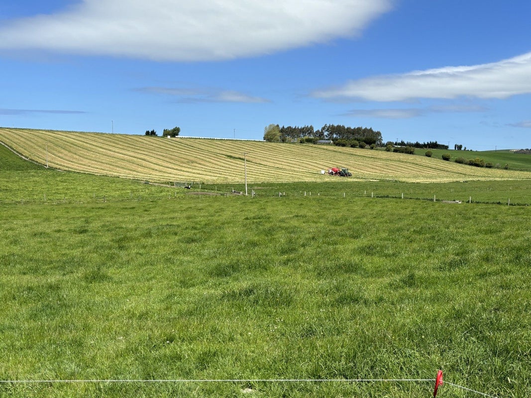 11 Irvine Road, Oamaru - Carousel 2