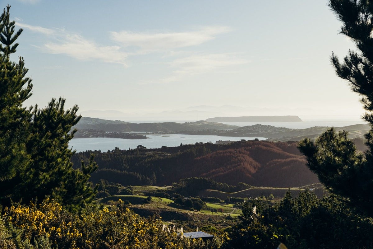 123 Fernhill Drive, Judgeford, Porirua - Carousel 2