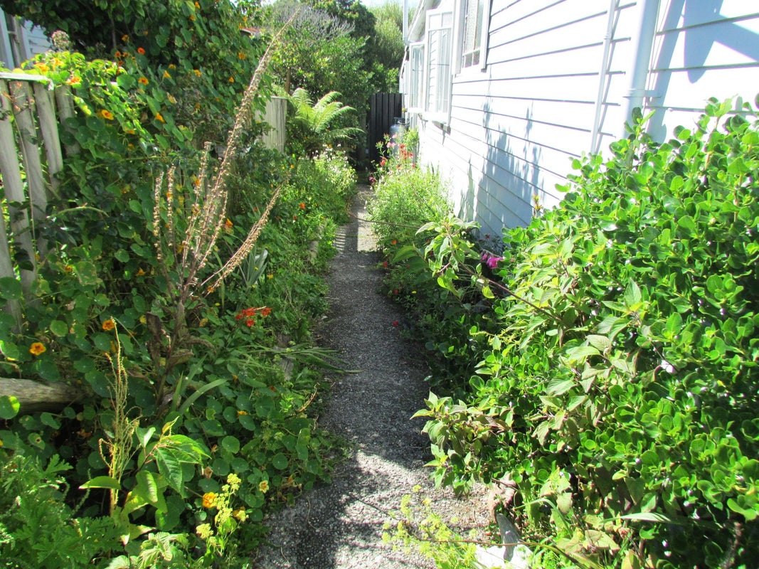 133 Preston Road, Blaketown, Greymouth - Carousel 2