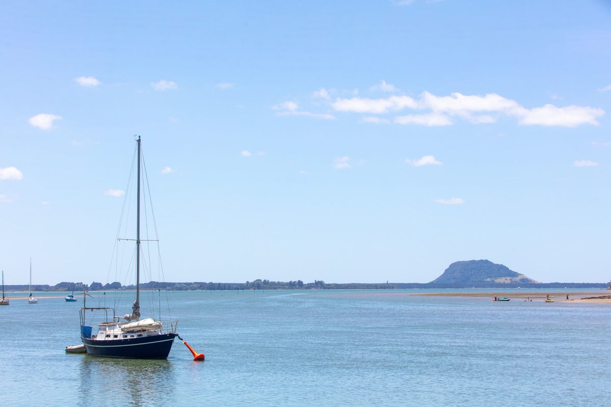 248 Plummers Point Road, Whakamarama, Tauranga - Carousel 22