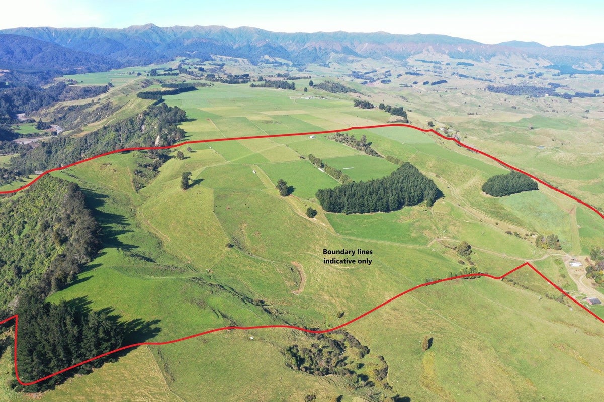 0 Wanganui Flat Rd, Harihari - Carousel 1