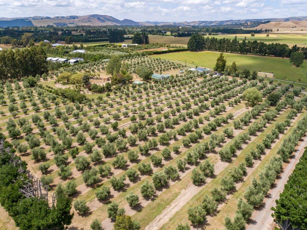 0 , Martinborough - Carousel 20