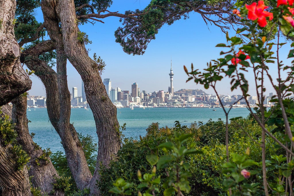 19 Heath Avenue, Northcote, Auckland - Carousel 2