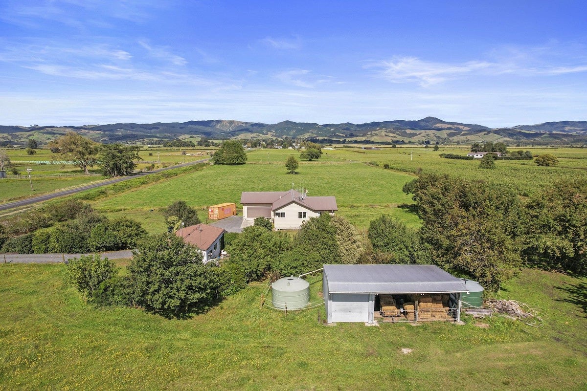 145 Tramline Road, Morrinsville - Carousel 22