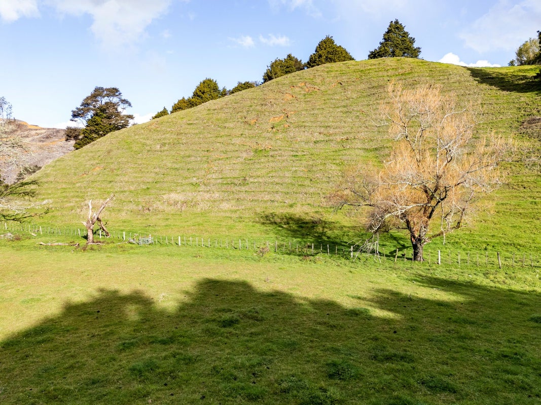 2102 Waingaro Road, Ngaruawahia - Carousel 50