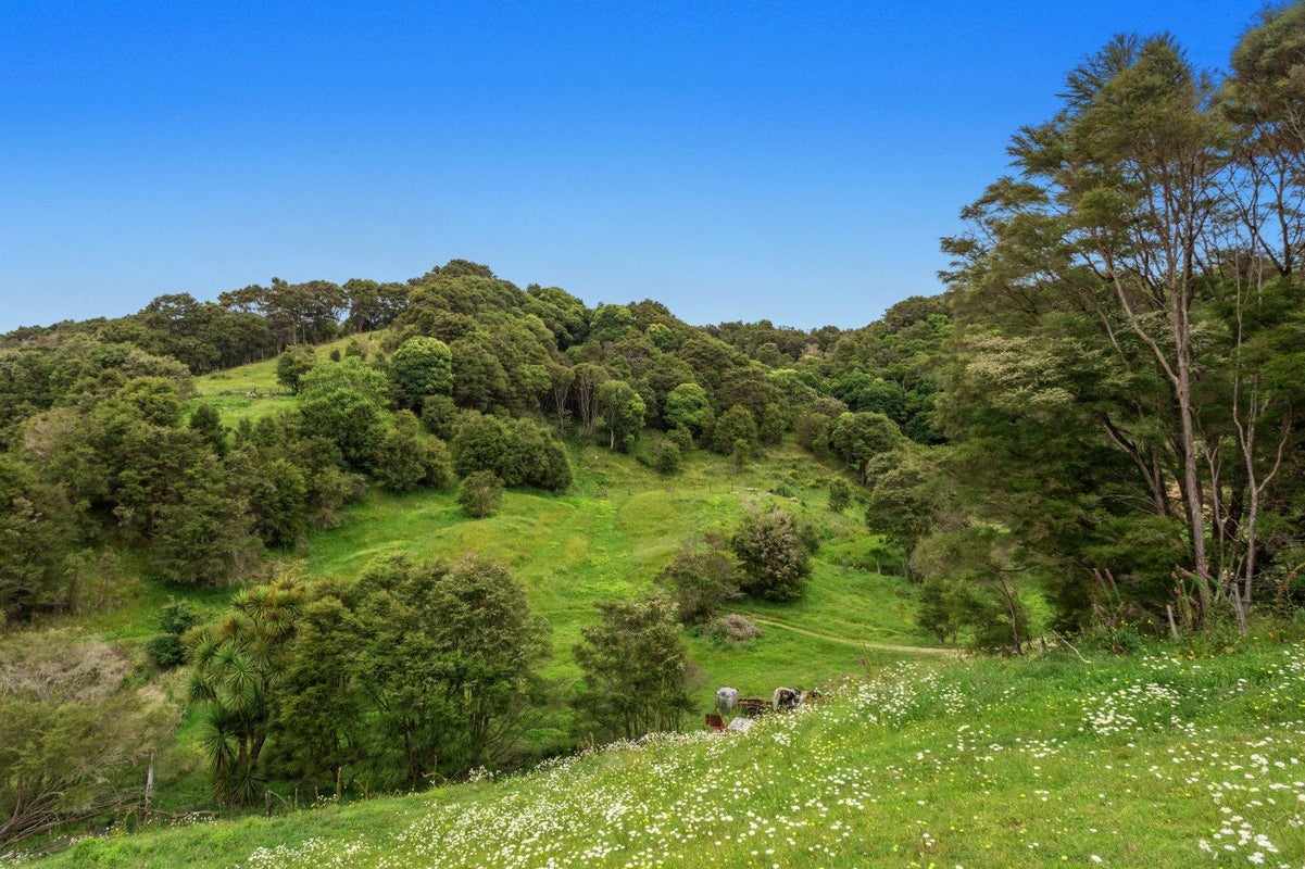 132 Foster Road, Taneatua, Whakatane - Carousel 2