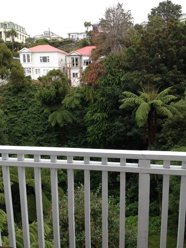 133 Kelburn Parade, Kelburn, Wellington - Carousel 13