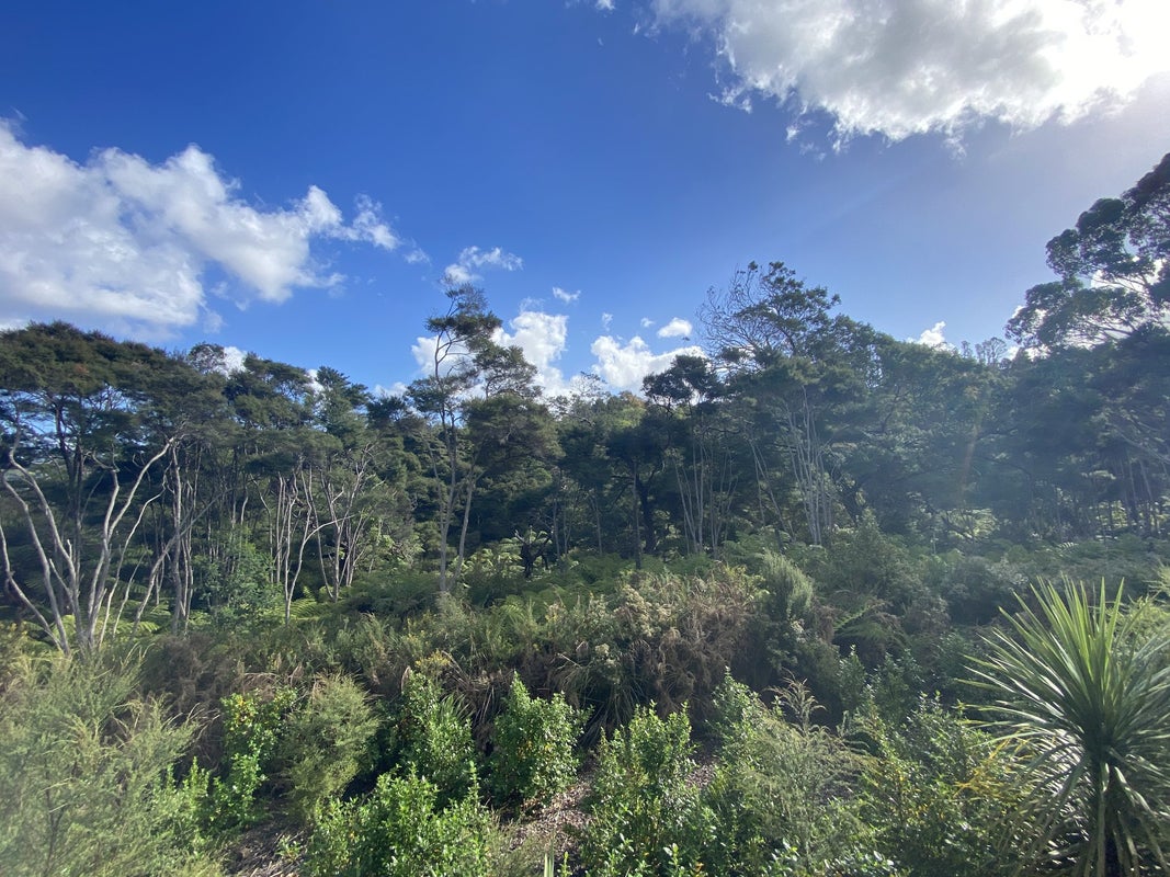 35 Kaimai Avenue, Massey, Auckland - Carousel 31