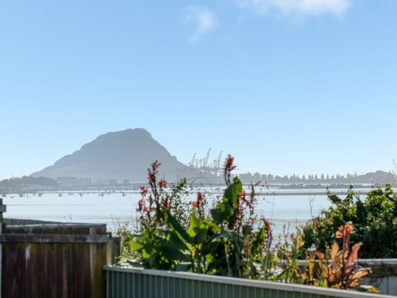 17 Vine Avenue, Maungatapu, Tauranga - Carousel 1