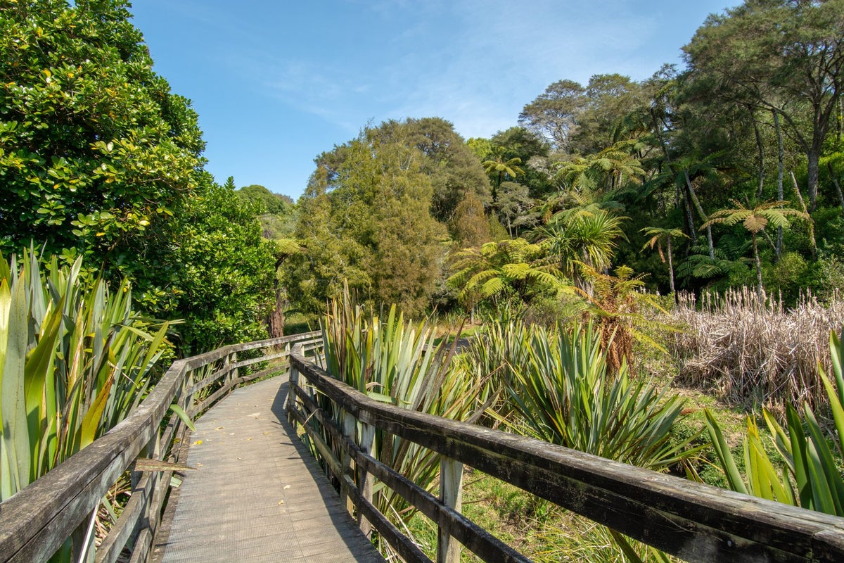 25 Riverstone Drive, Welcome Bay, Tauranga - Carousel 31