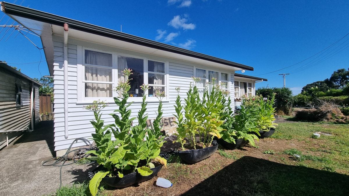 607 Thames Coast Sh25 Road, WAIOMU, THAMES - Carousel 2
