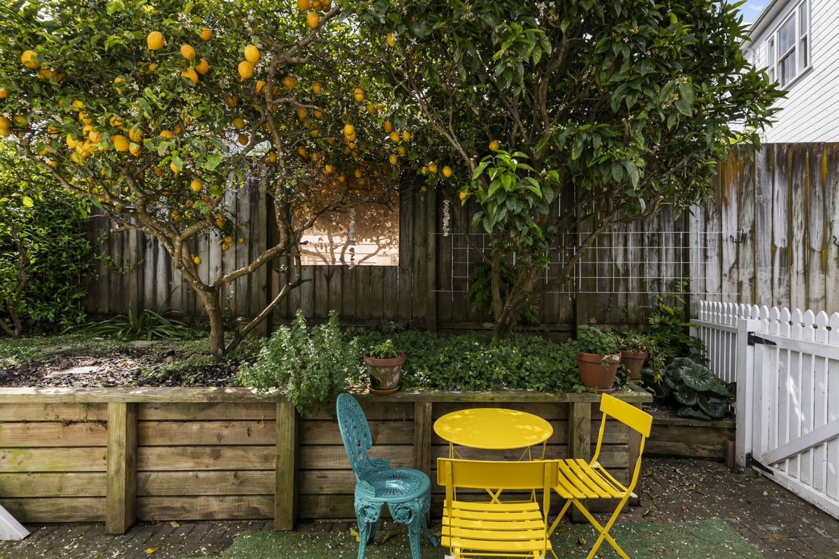 1 Murdoch Road, Grey Lynn, Auckland - Carousel 15