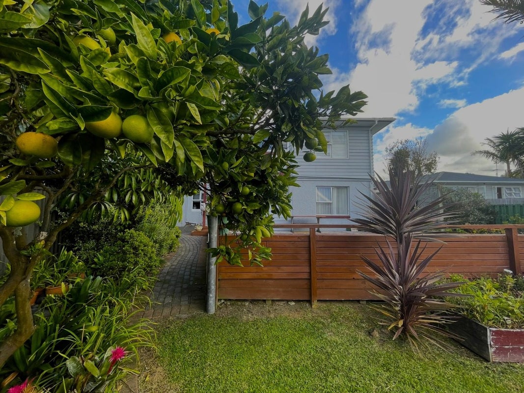 8 Divich Avenue, Te Atatu South, Auckland - Carousel 27