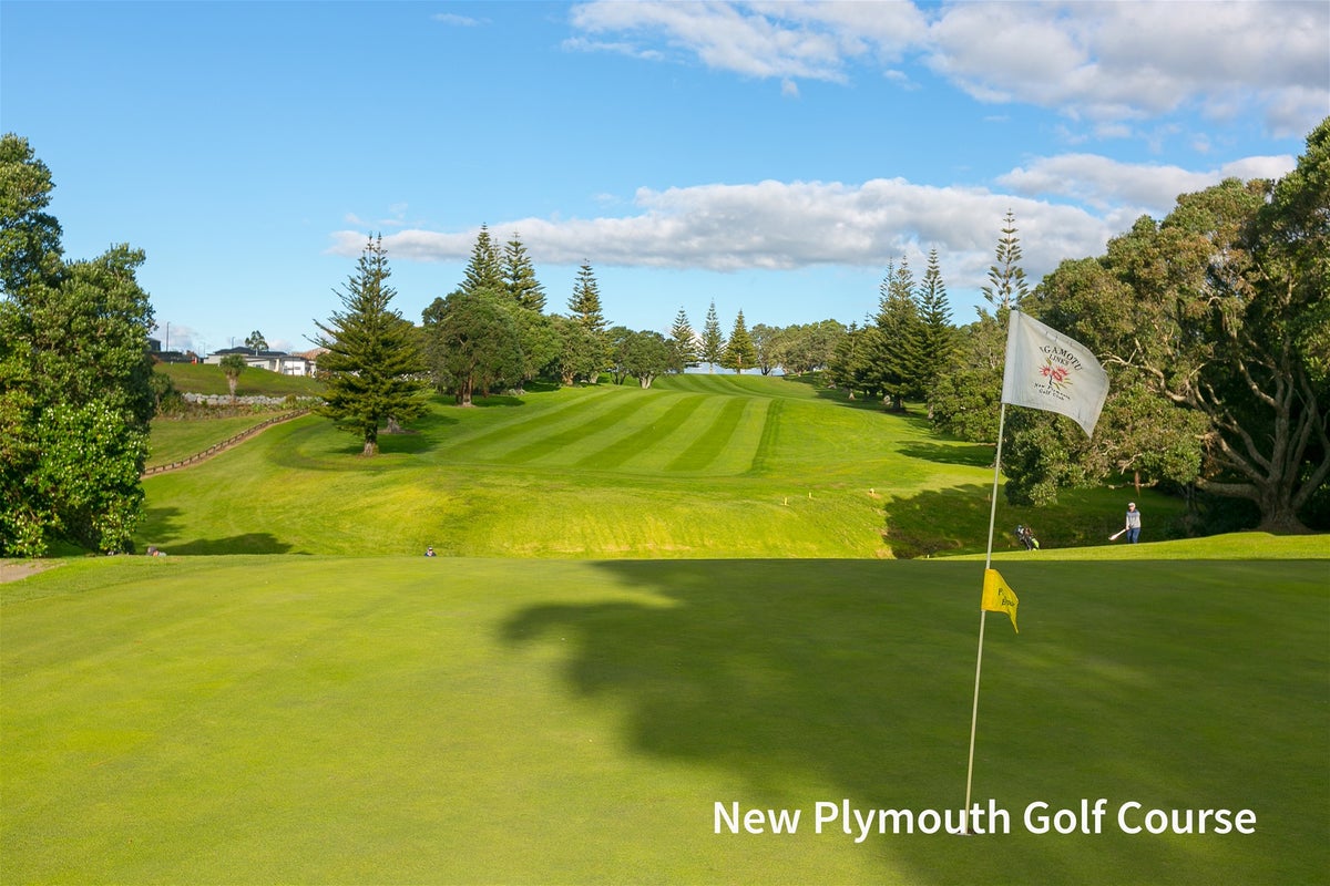 4 Gleneagles Way, Waiwhakaiho, New Plymouth - Carousel 35