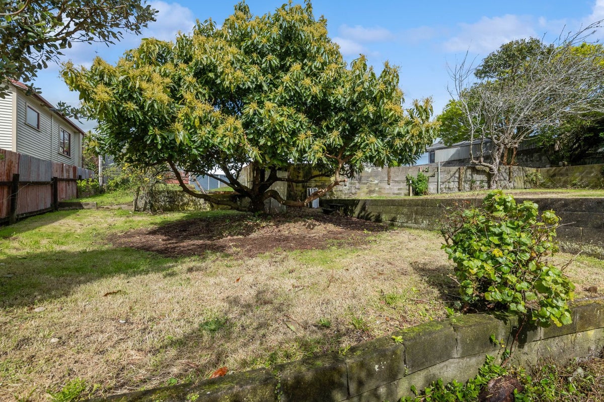299B Carrington Street, Vogeltown, New Plymouth - Carousel 19
