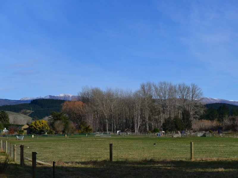 1346 Pleasant Point-Cave Highway, Cave - Carousel 16