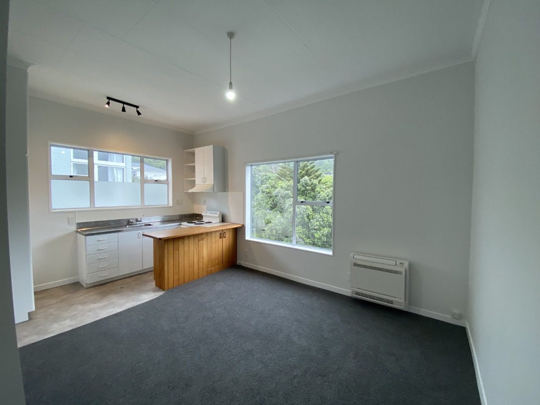 160 Hanson Street, Newtown, Wellington - Carousel 1