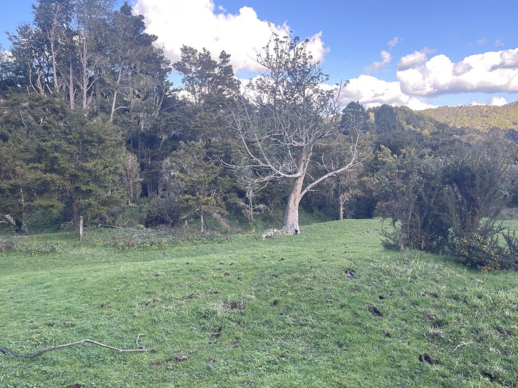 0 Horeke Road, Horeke, Okaihau - Carousel 2