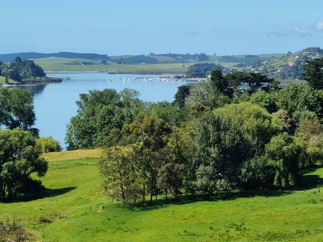 35 Karepo Lane, Pahi, Paparoa - Carousel 2