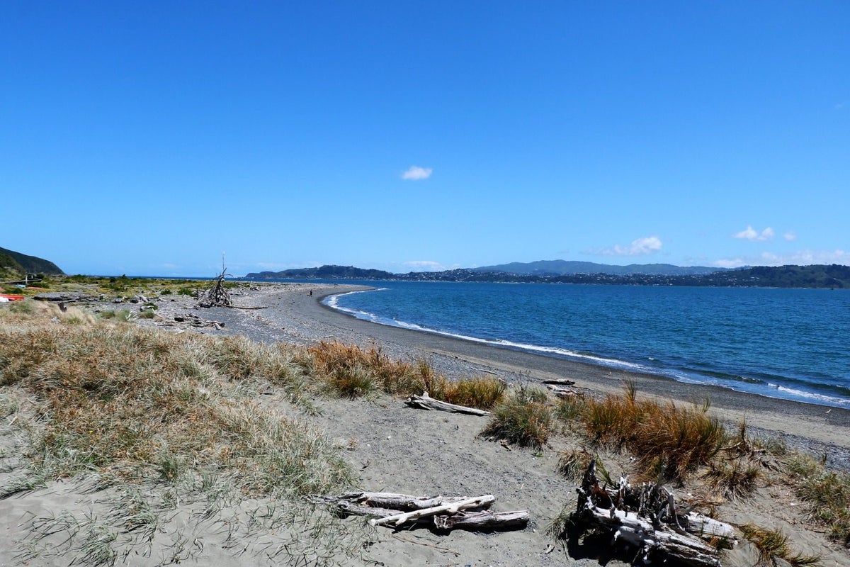 5 Kauri Street, Eastbourne, Lower Hutt - Carousel 14
