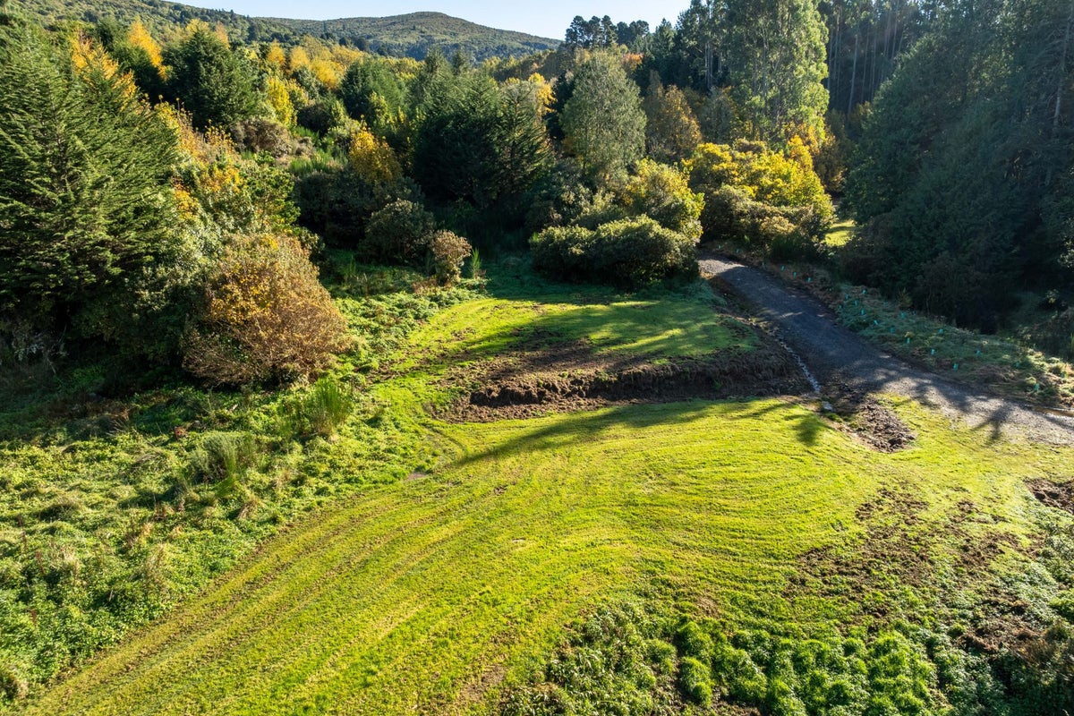 315 Leith Valley Road, Leith Valley, Dunedin - Carousel 27