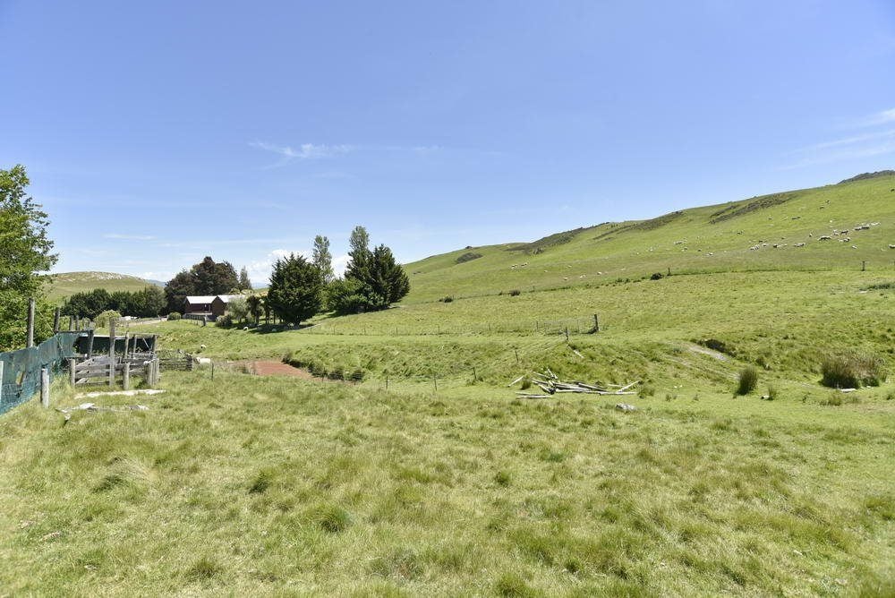 455 Mcraes Road, Scargill, Amberley - Carousel 20