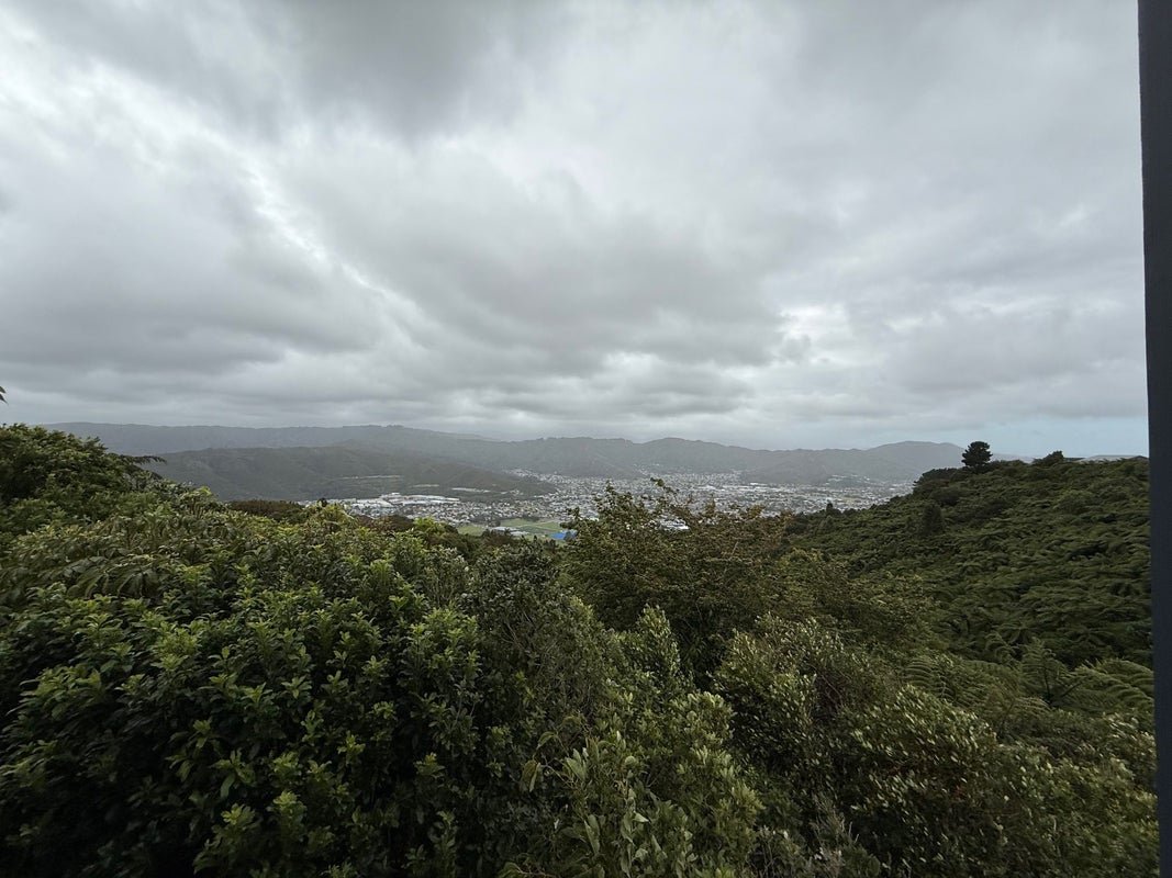 20 Outram Grove, Kelson, Lower Hutt - Carousel 24