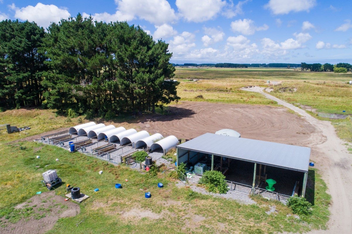 76 Himatangi Beach Road, Himatangi, Foxton - Carousel 2